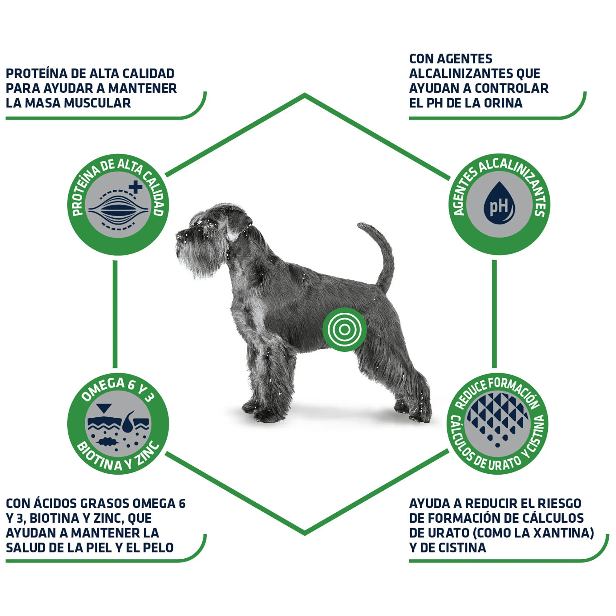 Composición Pienso dietético para perros adultos que favorece el equilibrio del sistema urinario, ayudando a reducir la formación de cristales mediante un control mineral preciso y una alta digestibilidad, formato 3kg